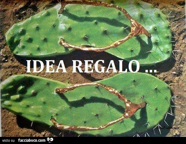 Ciabatte infradito di foglie di Cactus. Idea regalo