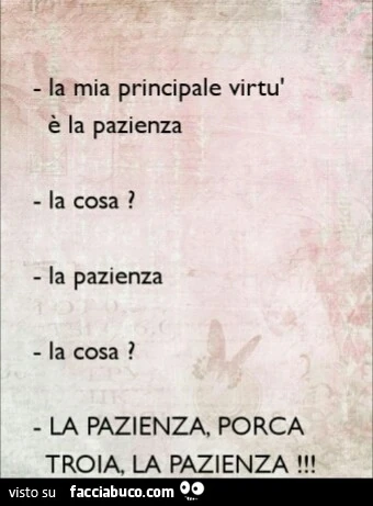 Vaccata