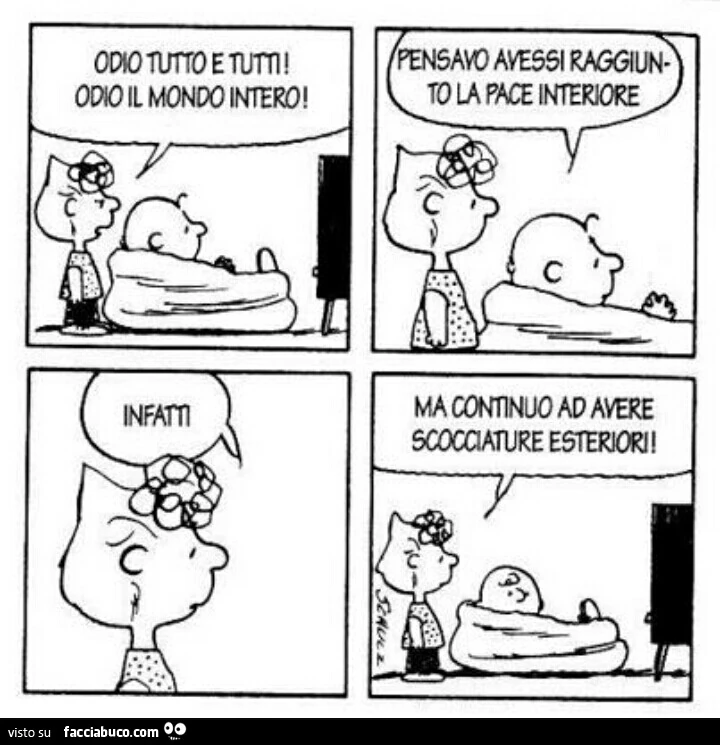 Odio tutto e tutti! Odio il mondo intero! Pensavo avessi raggiunto la pace interiore. Infatti. Ma continuo ad avere scocciature esteriori