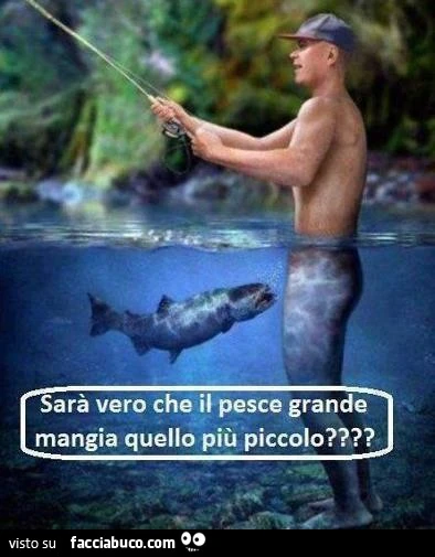 Sarà vero che il pesce grande mangia quello più piccolo?