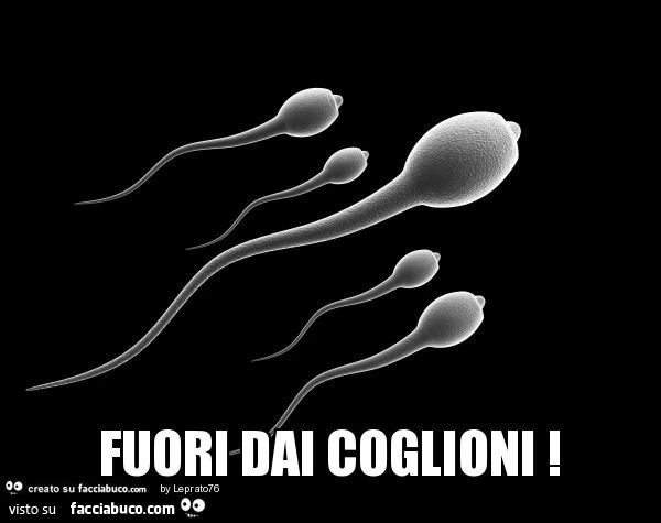 Fuori dai coglioni