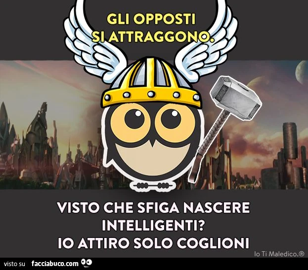 Gli opposti si attraggono. Visto che sfiga nascere intelligenti? io attiro solo coglioni.