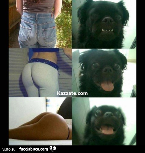 La reazione del cane alle foto dei sederi delle ragazze