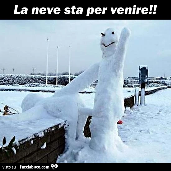 La neve sta per venire