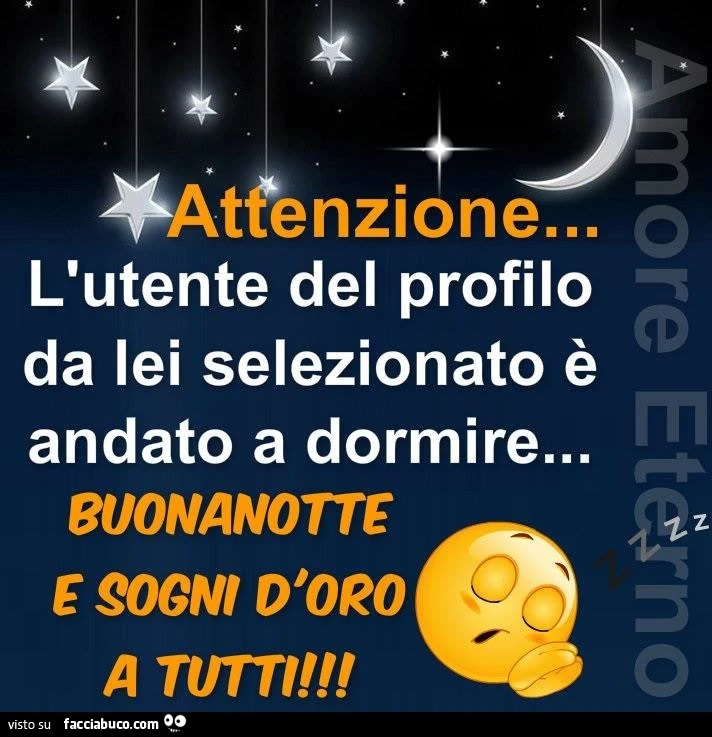 Attenzione l'utente del profilo da lei selezionato è andato a dormire. Buonanotte e sogni d'oro a tutti