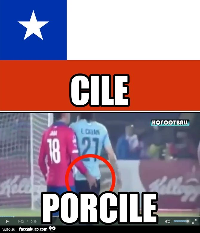 Cile porcile