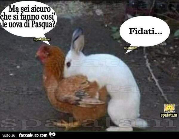 Gallina a coniglio: ma sei sicuro che si fanno così le uova di Pasqua? Fidati