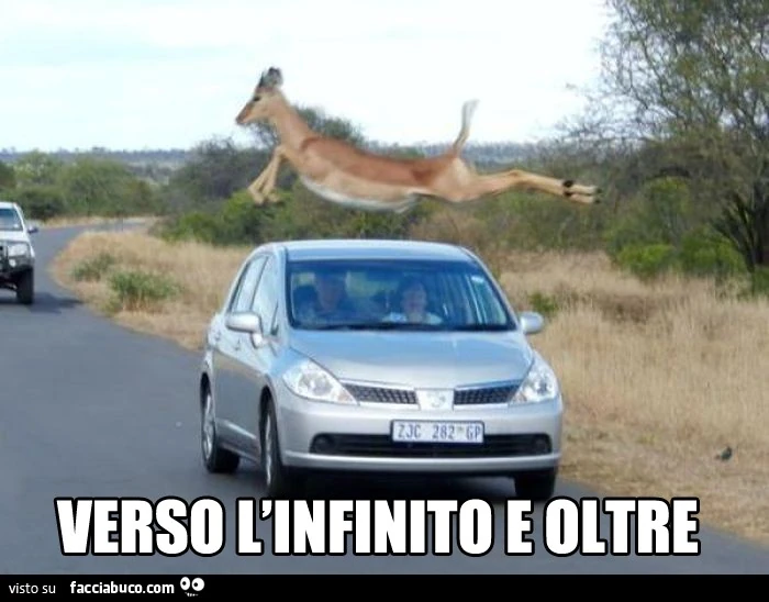 Il salto della gazzella: verso l'infinito e oltre