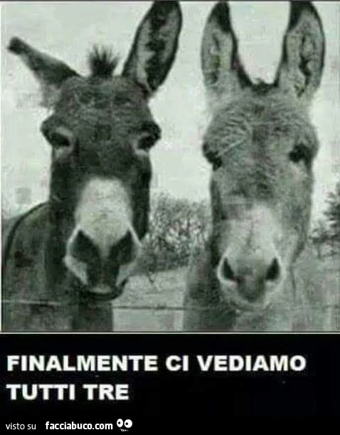 Finalmente ci vediamo tutti tre