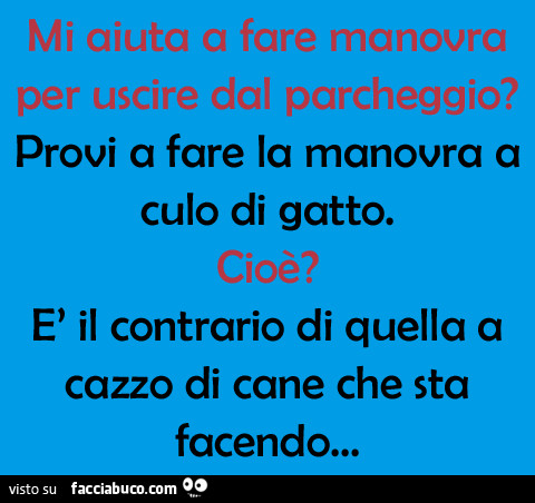 Mi aiuta a fare manovra per uscire dal parcheggio? Provi a fare la manovra culo di gatto. Cioè? È Il contrario di quella a cazzo di cane che sta facendo