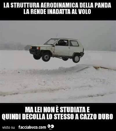La struttura aerodinamica della panda la rende inadatta al volo. Ma lei non è studiata e quindi decolla lo stesso a cazzo duro