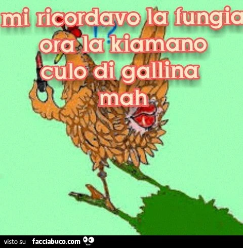Mi ricordavo la fungia. Ora la chiamano culo di gallina mah