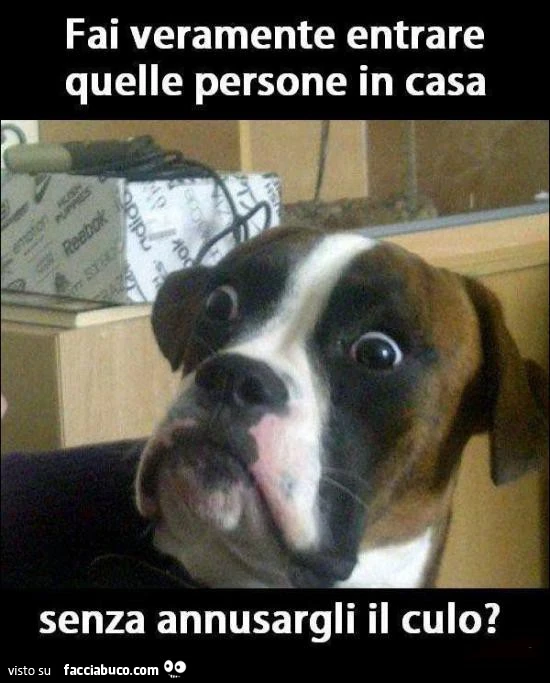 Fai veramente entrare quelle persone in casa senza annusargli il culo?