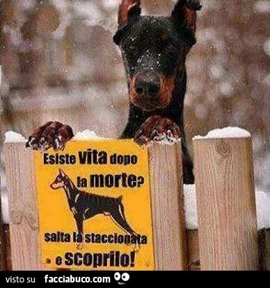 Esiste la vita dopo la morte. Salta la staccionata e scoprilo