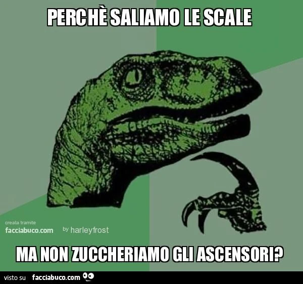 perchè saliamo le scale ma non zuccheriamo gli ascensori?