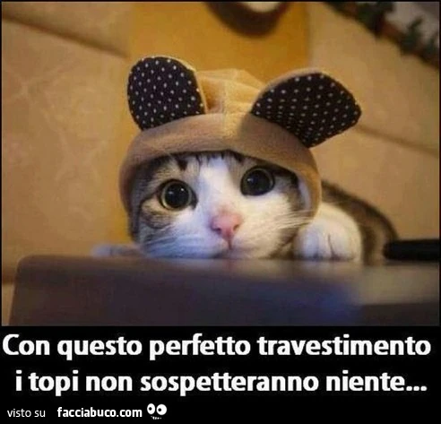 Con questo perfetto travestimento i topi non sospetteranno niente