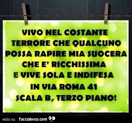 Vivo nel costante terrore che qualcuno possa rapire mia suocera