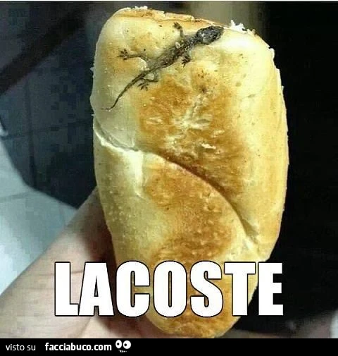 Lucertola nel pane. Lacoste