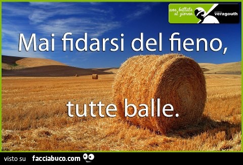 Mai fidarsi del fieno, tutte balle