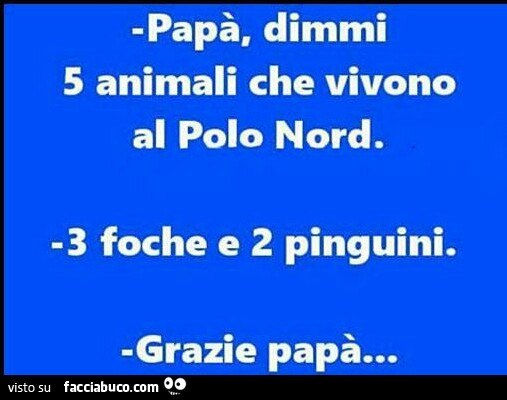Papà, dimmi 5 animali che vivono al Polo Nord. 3 foche e 2 pinguini. Grazie papà
