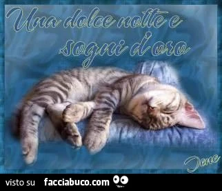 Una dolce notte e sogni d'oro dal gattino che dorme