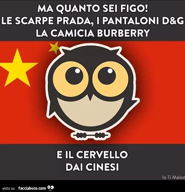 Ma quanto sei figo! Le scarpe Prada, i pantaloni D&G, la camicia Burberry e il cervello dai cinesi