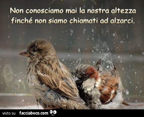 Non conosciamo mai la nostra altezza finché non siamo chiamati ad alzarci