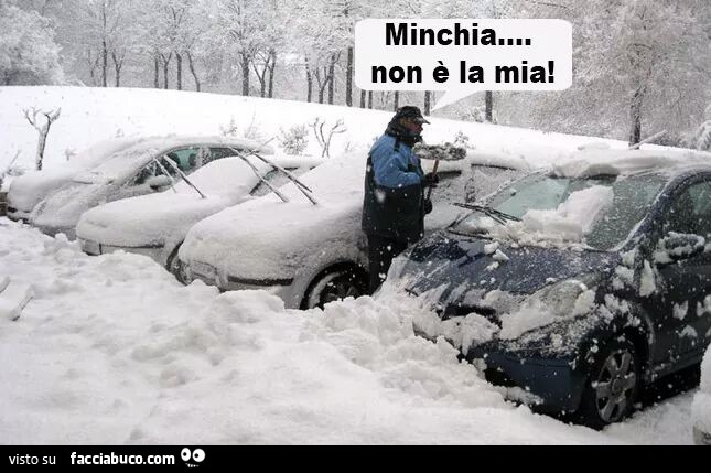 Libera l'auto dalla neve, ma poi: minchia non è la mia!