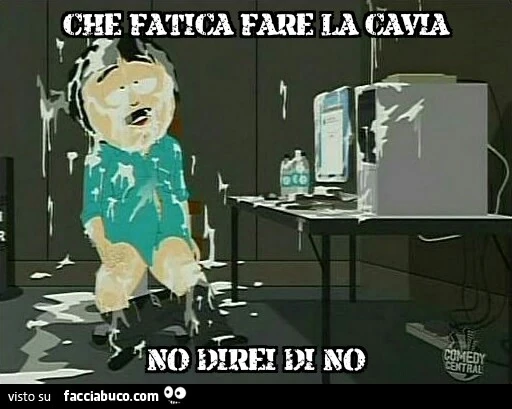 Vaccata