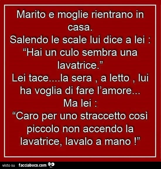 Marito e moglie rientrando in casa. Salendo le scale lui dice a lei: hai un culo sembra una lavatrice. Lei tace&hellip; la sera, a letto lui ha voglia di fare l'amore&hellip; Ma lei: caro per uno straccetto così piccolo non accendo la lavatrice, lava