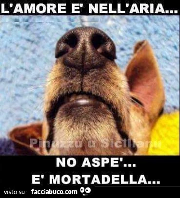 L'amore è nell'aria&hellip; no aspè, è mortadella