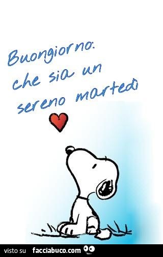 Buongiorno: che sia un sereno Martedì