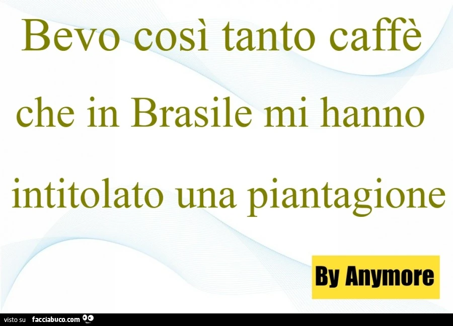 Bevo così tanto caffè che in Brasile mi hanno intitolato una piantagione