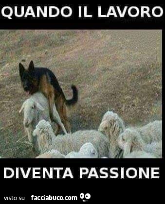 Quando il lavoro diventa passione