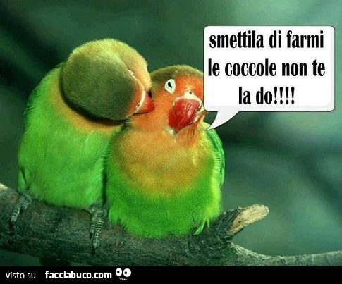 Smettila di farmi le coccole, non te la do