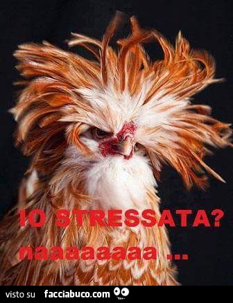 Io stressata? Naaaaaaaa
