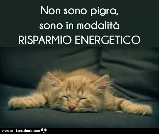 Non sono pigra, sono in modalità risparmio energetico