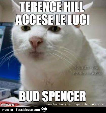 Terence Hill accese le luci . Bud Spencer