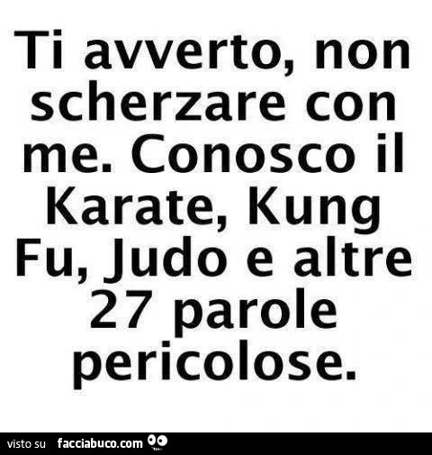 6904575261-ti-avverto-non-scherzare-con-me-conosco-il-karate-kung-fu-judo-e-altre-27-parole_b.jpg