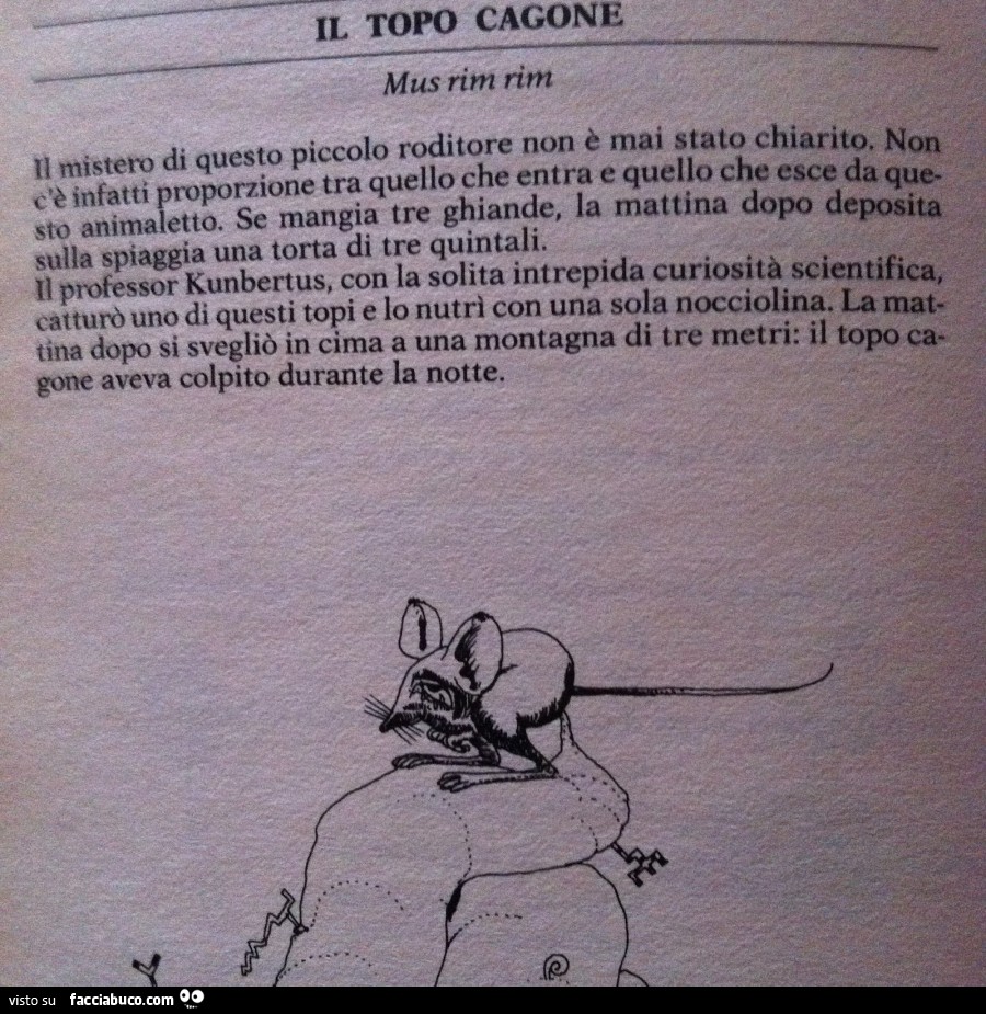 Il topo cagone
