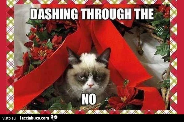 Dashing through the NO