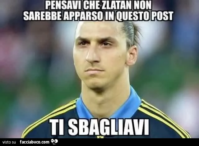 pensavi che Zlatan Ibrahimovic non sarebbe apparso in questo post... ti sbagliavi