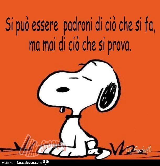 Si può essere padroni di ciò che si fa, ma mai di ciò che si prova