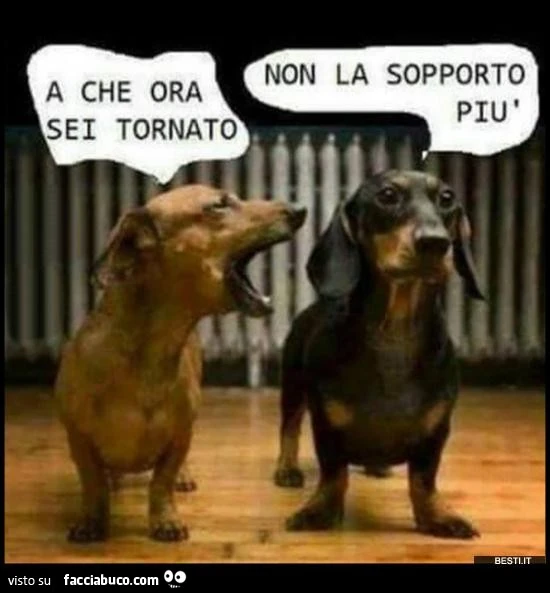 A che ora sei tornato? Non la sopporto più