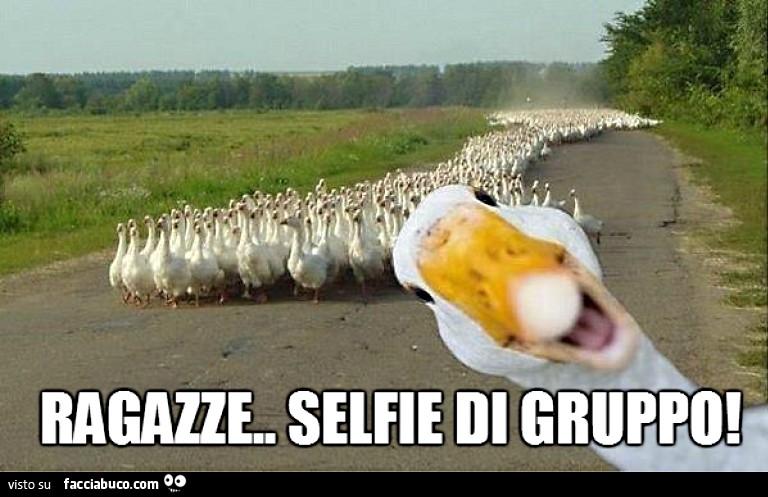 Oche: ragazze, selfie di gruppo