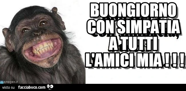 Buongiorno con simpatia a tutti l'amici mia
