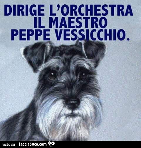 Dirige l'orchestra il maestro Peppe Vessicchio