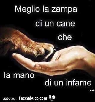 Meglio la zampa di un cane che la mano di un infame
