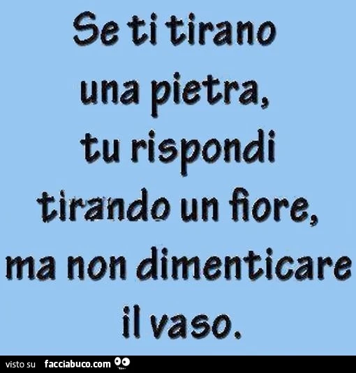 Se ti tirano una pietra, tu rispondi tirando un fiore, ma non dimenticare il vaso