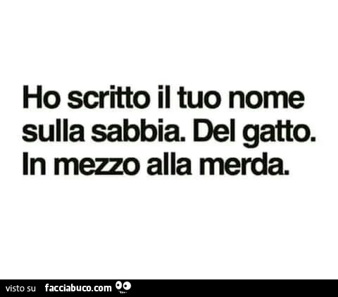Ho scritto il tuo nome sulla sabbia. Del gatto. In mezzo alla merda